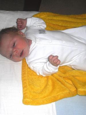 Szüléstörténet 15, Lisztné Lampert Judit, 2012. október